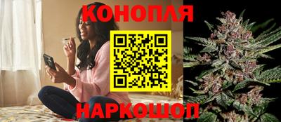 индика Тверь