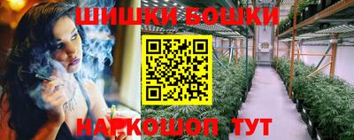 индика Тверь