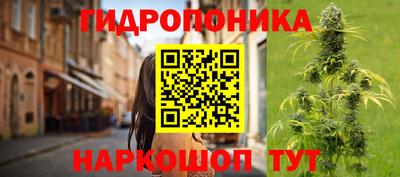 индика Тверь